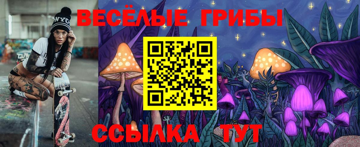 Псилоцибиновые грибы GOLDEN TEACHER Киселёвск
